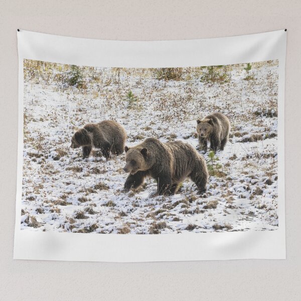 Item preview, Adult Grizzly Bear and Cubs designed and sold by Don Arsenault.