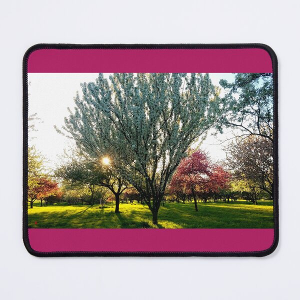 Item preview, Crabapple Orchard In Bloom designed and sold by BeautyInQuietPlaces.