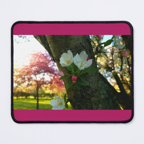 Item preview, Crabapple Blossoms designed and sold by BeautyInQuietPlaces.