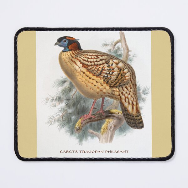 Item preview, Joseph Smit: Cabot's Tragopan Pheasant (Yellow-Bellied Pheasant) designed and sold by Tridentulus.