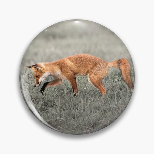 Item preview, Fox in field designed and sold by Brian Scantlebury.