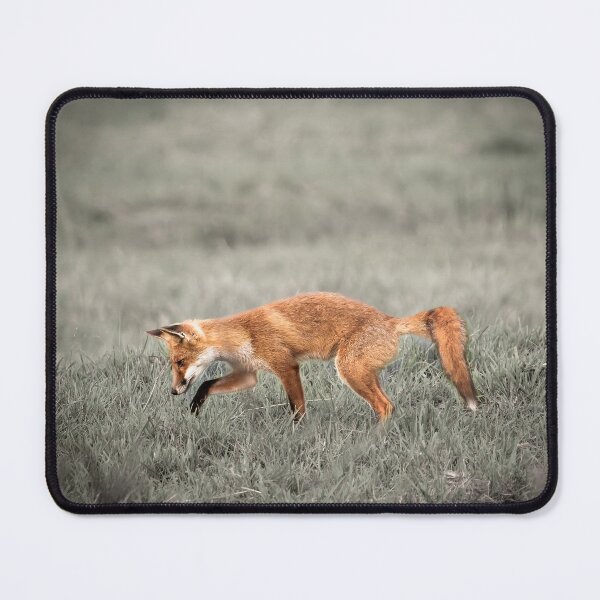 Item preview, Fox in field designed and sold by Brian Scantlebury.