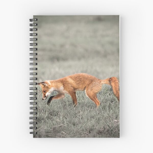 Item preview, Fox in field designed and sold by Brian Scantlebury.