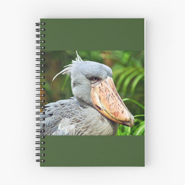 Item preview, Shoebill  designed and sold by Savannah Gibbs.
