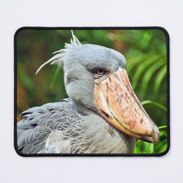 Item preview, Shoebill designed and sold by Savannah Gibbs.