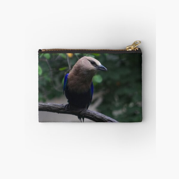 Item preview, RainForest Bird designed and sold by Tiffany Bumgardner.
