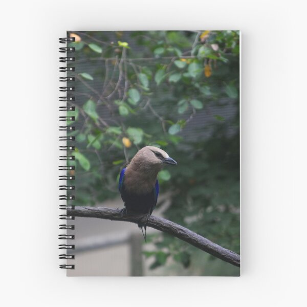 Item preview, RainForest Bird designed and sold by Tiffany Bumgardner.