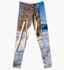 Rural winter scene Leggings