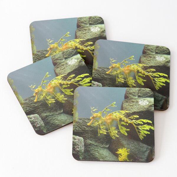Item preview, Leafy Sea Dragon with Rocks designed and sold by MoodyMuseArt.