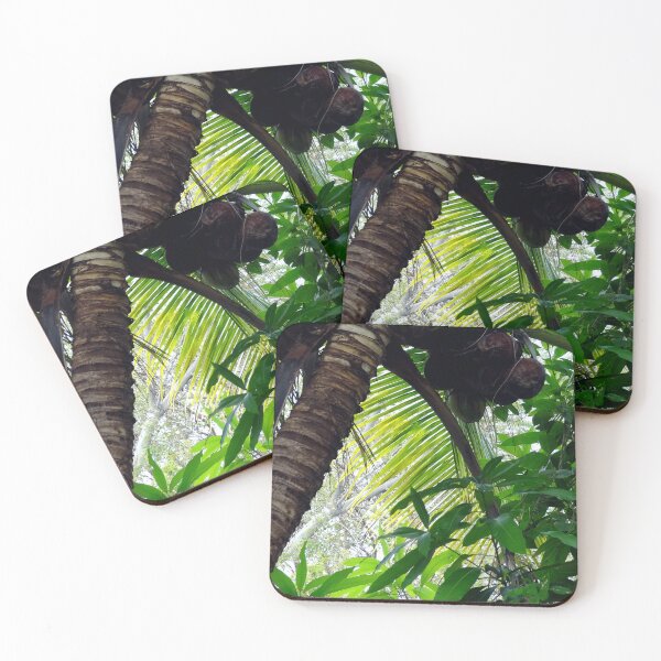 Item preview, Coconut Palm designed and sold by MoodyMuseArt.