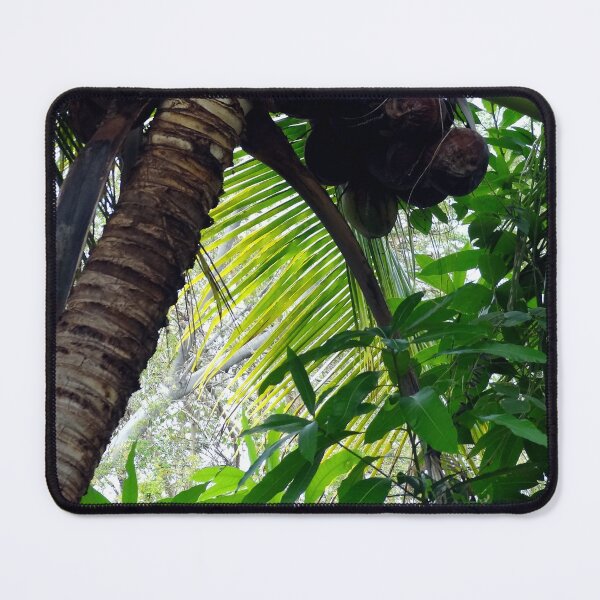 Item preview, Coconut Palm designed and sold by MoodyMuseArt.
