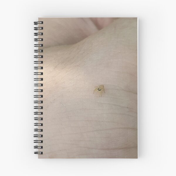Item preview, Tiny jumping spider designed and sold by Kikkik07.