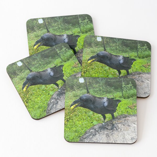 Item preview, Raven eating as many grapes as possible  designed and sold by Kikkik07.