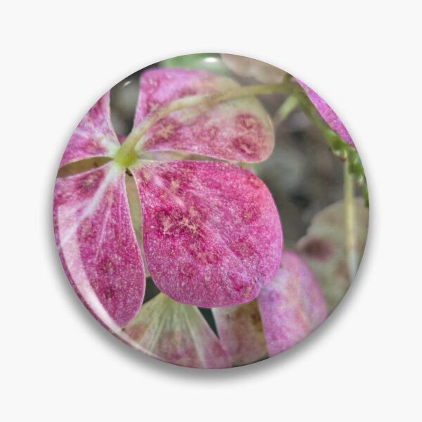 Item preview, Resilience can be Radiant designed and sold by Betsy Phillips.