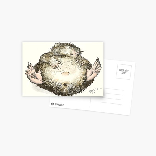 Lazy Wombat Postcard
