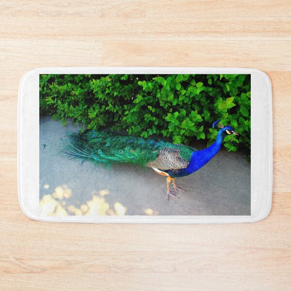 Item preview, View of an Indian Peafowl in the Wallenstein Gardens of Prague designed and sold by Kristina Drozd.