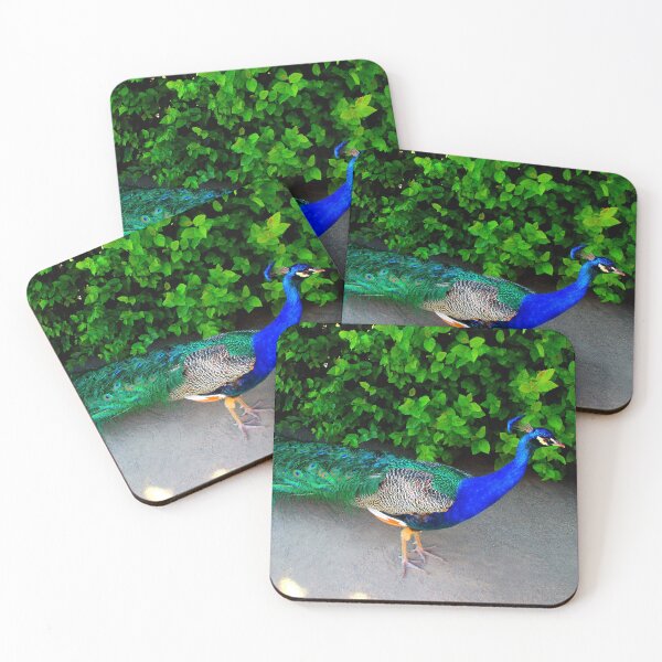 Item preview, View of an Indian Peafowl in the Wallenstein Gardens of Prague designed and sold by Kristina Drozd.