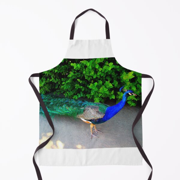Item preview, View of an Indian Peafowl in the Wallenstein Gardens of Prague designed and sold by Kristina Drozd.