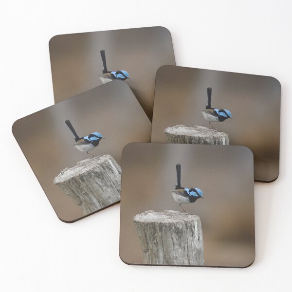Item preview, Superb Blue Fairy Wren at Attention designed and sold by Patricia  Rademaker.