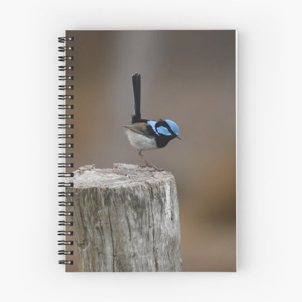 Item preview, Superb Blue Fairy Wren at Attention designed and sold by Patricia  Rademaker.
