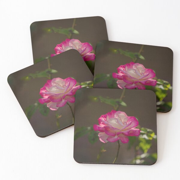 Item preview, Pink Variegated Rose designed and sold by Patricia  Rademaker.