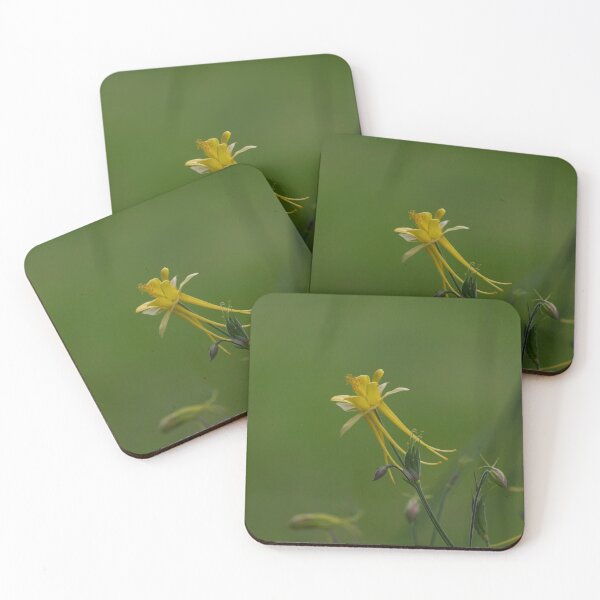 Item preview, Aquilegia Flower, Commonly named as Granny's Bonnet designed and sold by Patricia  Rademaker.