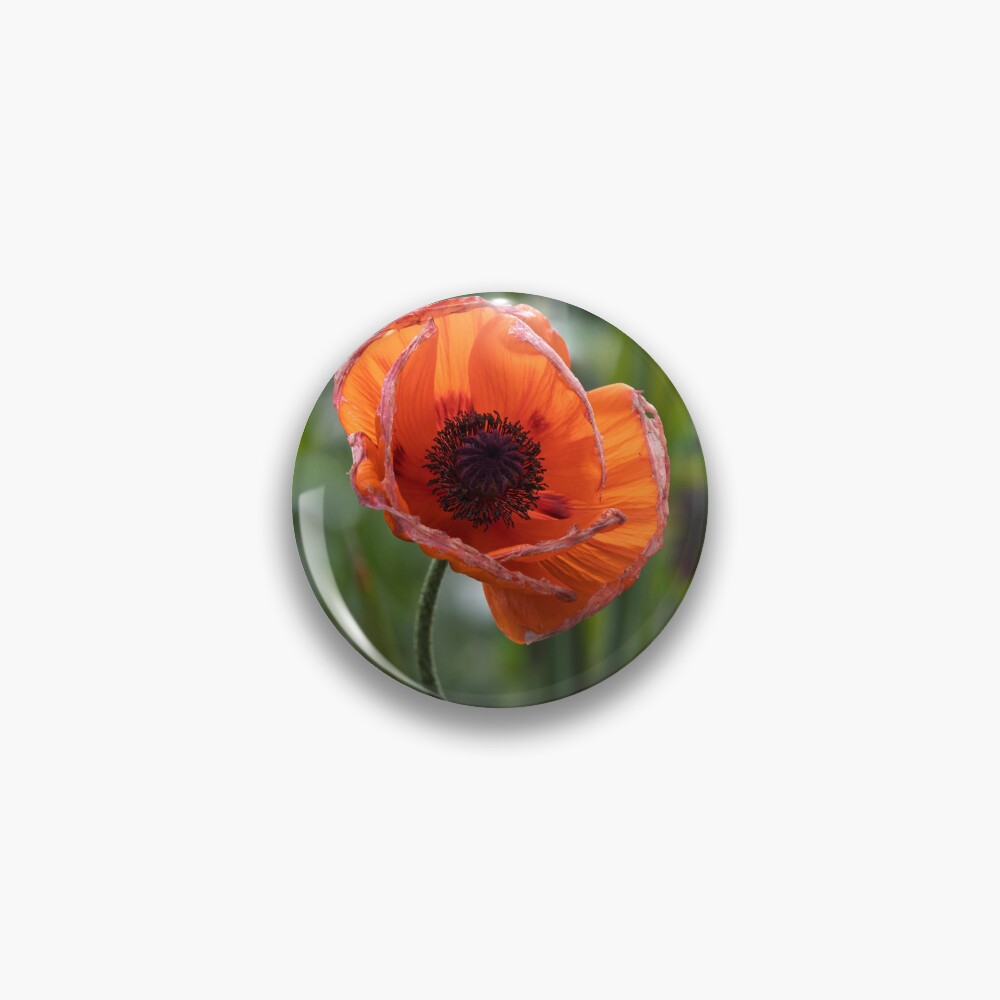 Item preview, Pin designed and sold by SuccessImaging.