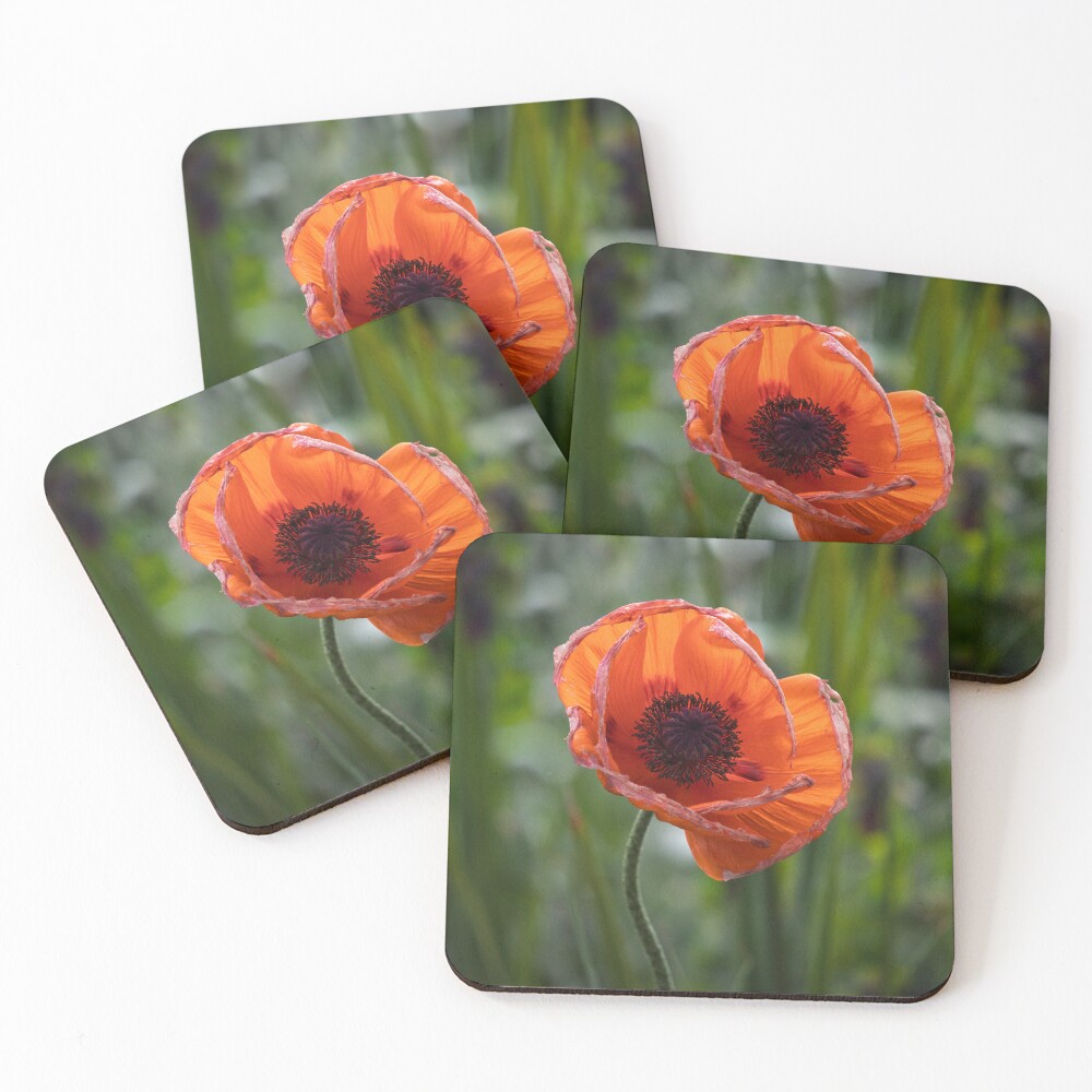 Item preview, Coasters (Set of 4) designed and sold by SuccessImaging.