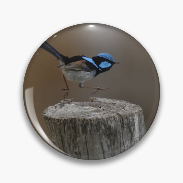 Item preview, Superb Blue Fairy Wren in Motion designed and sold by Patricia  Rademaker.