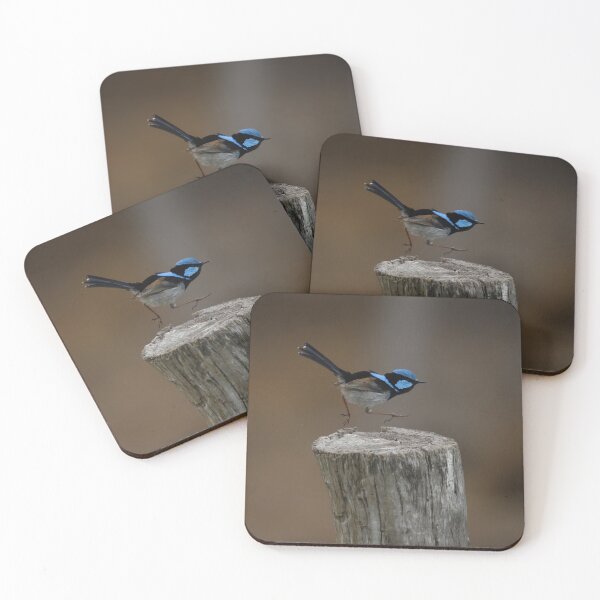 Item preview, Superb Blue Fairy Wren in Motion designed and sold by Patricia  Rademaker.