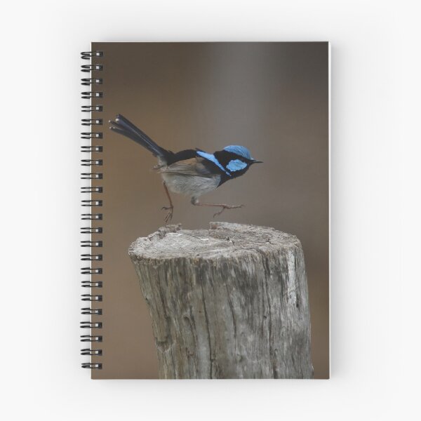 Item preview, Superb Blue Fairy Wren in Motion designed and sold by Patricia  Rademaker.
