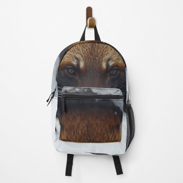 Item preview, Raccoon Peeking from Snowy Den designed and sold by Modern-Tropical.
