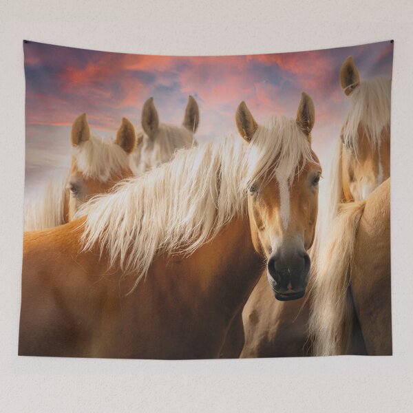 Aperçu de l'œuvre De magnifiques chevaux au coucher du soleil créée et vendue par Mauswohn.