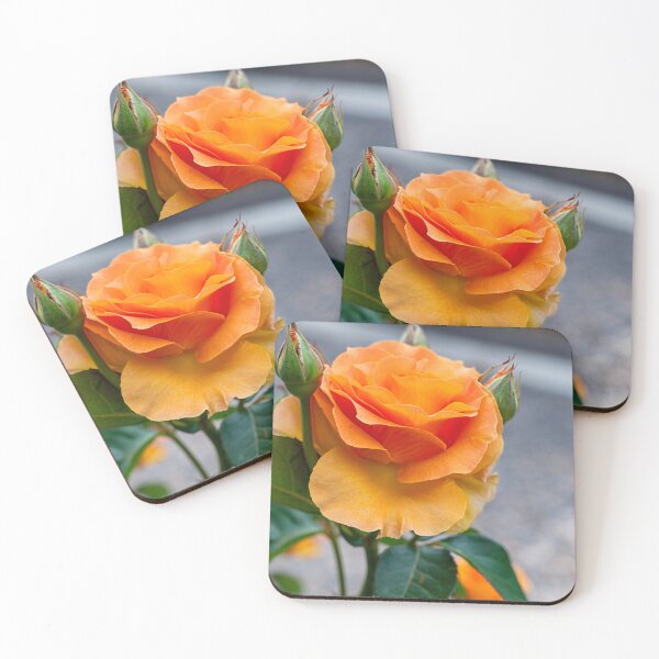 Item preview, Rose beauty designed and sold by Fran Woods.