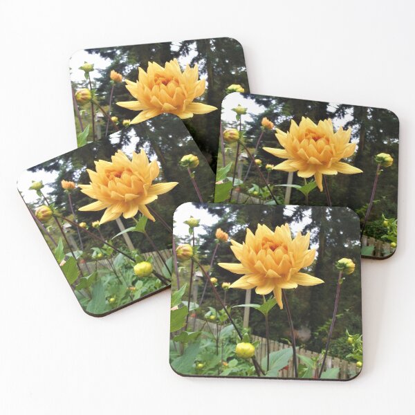 Item preview, Gossamer Gold Dahlias designed and sold by Trisha North.