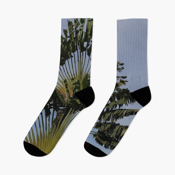 Item preview, Fan Palm designed and sold by Malcolm Snook.