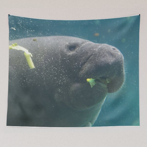 Item preview, Lunch Time designed and sold by Tiffany Bumgardner.