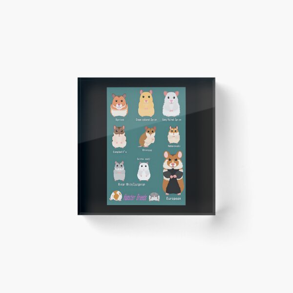 Item preview, Hamster Breeds Syrian Hamster designed and sold by iccoqfazbun10.