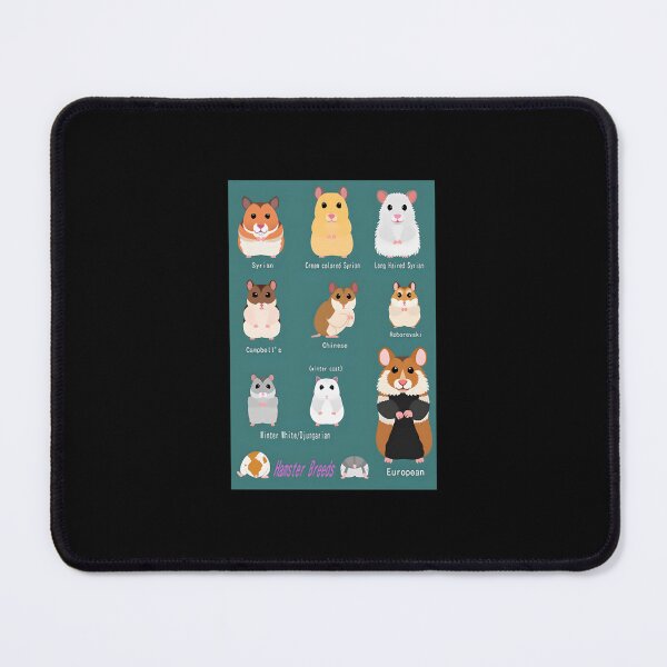 Item preview, Hamster Breeds Syrian Hamster designed and sold by iccoqfazbun10.