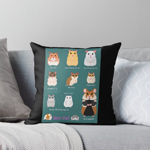 Item preview, Hamster Breeds Syrian Hamster designed and sold by iccoqfazbun10.