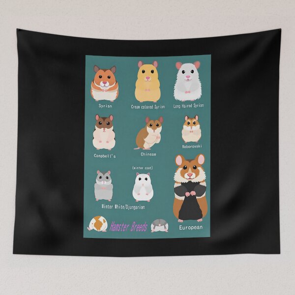 Item preview, Hamster Breeds Syrian Hamster designed and sold by iccoqfazbun10.