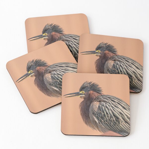 Item preview, Green Heron Fluffed Crown Feathers designed and sold by Debra Martz.