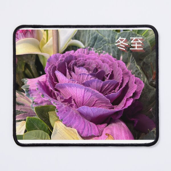 Item preview, Omamental Kale, 葉牡丹 designed and sold by yeeshingcourt.