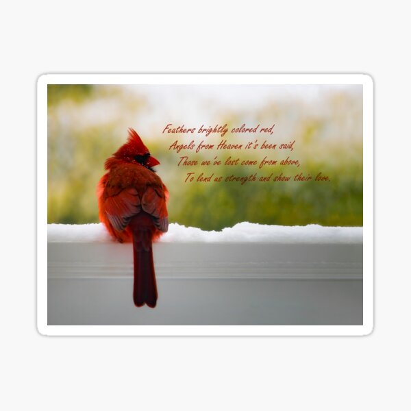Male Cardinal - Visitor From Heaven quote Sticker