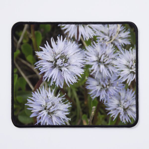 Item preview, Mountain flowers designed and sold by klavdija998.