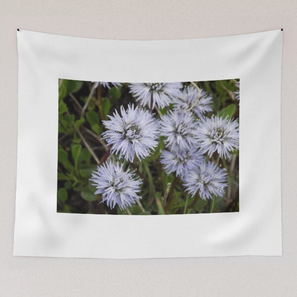 Item preview, Mountain flowers designed and sold by klavdija998.