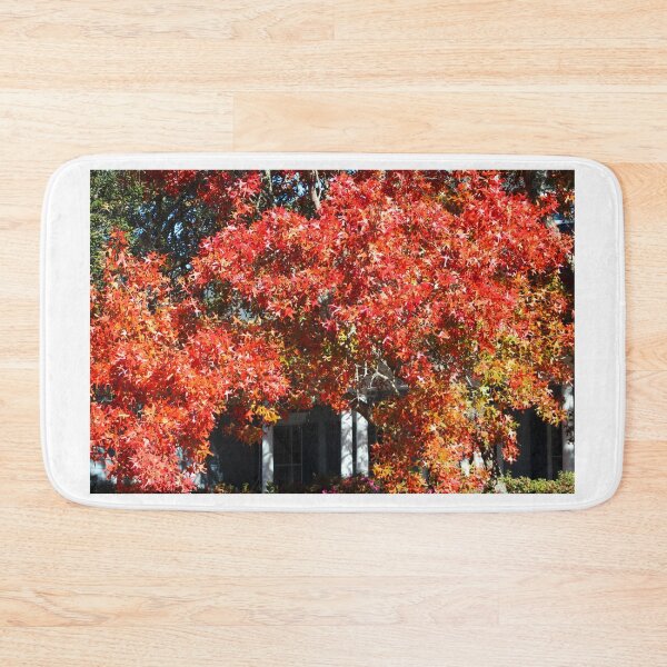 Item preview, Vibrant Autumn Leaves on a Tree designed and sold by Cynthia48.