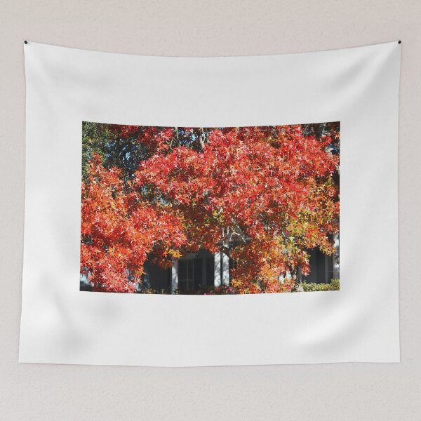 Item preview, Vibrant Autumn Leaves on a Tree designed and sold by Cynthia48.