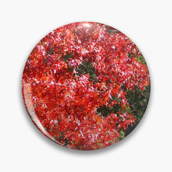 Item preview, Vivid Red Maple Tree in Autumn designed and sold by Cynthia48.