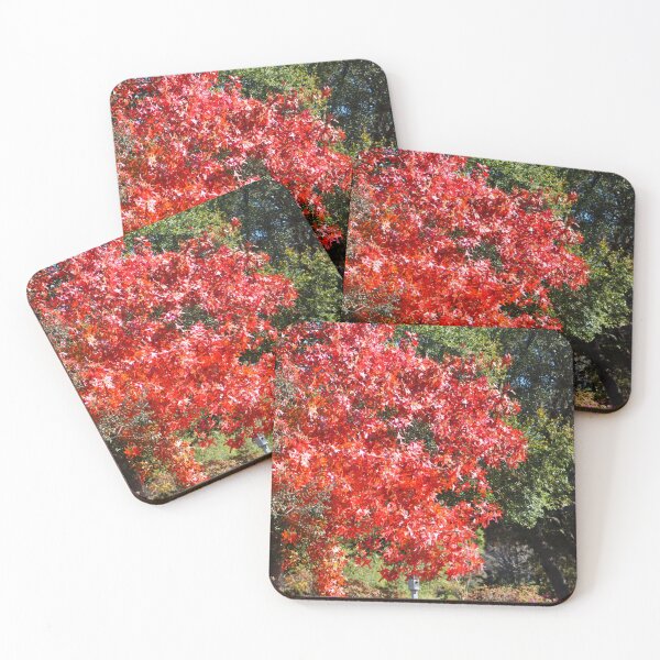 Item preview, Vivid Red Maple Tree in Autumn designed and sold by Cynthia48.